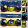 АЛЬБО ВЕРТЕ 3242 (Albo Verte 3242 AL) - красивый зеленый томат, антоциан, 10 семян