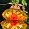 АНАНАС ЗЕБРА (ANANAS ZEBRA) - супер яркий сладкий би-колор, 10 семян 6231 АНАНАС-ЗЕБРА 6231