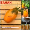 БАНАН (BANAN) - желтая сливка для консервации, 10 семян