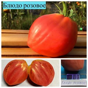 БЛЮДО РОЗОВОЕ (DISH PINK) - розовое сплющенное сердце, 5 семян