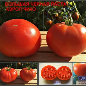 БОЛЬШАЯ ЧЕРНАЯ ПАСТА КЭРОЛ ЧИКО (Carol Chyco's Big Paste Black) - темно-красный вкусный томат, 10 семян