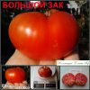 БОЛЬШОЙ ЗАК (Big Zac) - красный крупноплодный томат, 10 семян