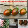 ВЫБОР ФАЙЛОВ (Cookie Select) - ранняя полосатая сливка, 10 семян