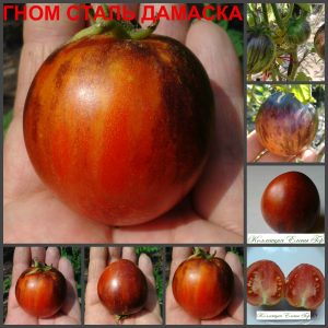 Сорт ДАМАССКАЯ СТАЛЬ