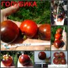 ГОЛУБИКА (BLUEBERRY) - ранний красно-синий сладкий томат, антоциан, 10 семян