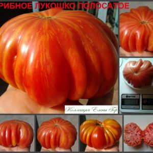 ГРИБНОЕ ЛУКОШКО (MUSHROOM BASKET) - крупный ребристый томат, 10 семян