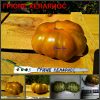 ГРЮНЕ ХЕЛАРИОС (GRUNE HELARIOS) - бронзовый приплюснутый сладкий томат, 10 семян