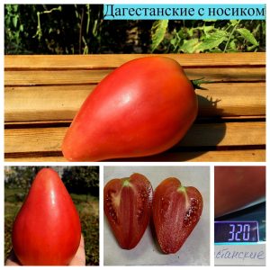 ДАГЕСТАНСКИЕ С НОСИКОМ (DAGESTANSKIE) - ранее сладкое малиновое сердце, 10 семян