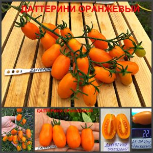ДАТТЕРИНИ ОРАНЖЕВЫЙ (DATTERINO ORANG) - ранний очень сладкий черри со сложными кистями, 10 семян