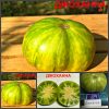 ДЖОХАННА (JOHANNA) - зеленый полосатый приплюснутый сорт-новинка, 10 семян