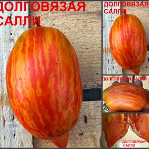 ДОЛГОВЯЗАЯ САЛЛИ, красная линия (LONG TALL SALLY) - крупная полосатая сливка, 5 семян