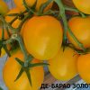 ДЕ-БАРАО ЗОЛОТОЙ (DE BARAO GOLD) - высокоурожайная золотая сливка