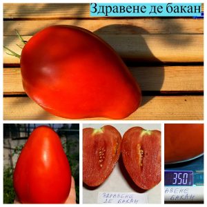 ЗДРАВЕНЕ ДЕ БАКАН (ZDRAVENE DE BAKAN) - ранее красное вытянутое сердце, 10 семян