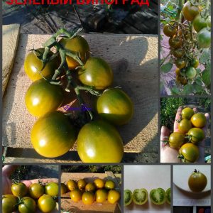 ЗЕЛЕНЫЙ ВИНОГРАД (GREEN GRAPES) - зеленый круглый медовый черри, 10 семян