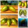 ЗЕЛЕНЫЙ ПОТРОШИТЕЛЬ (GREEN RIPER) - ранняя зеленая сладкая сливка, 10 семян