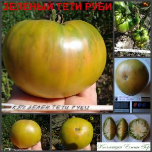 ЗЕЛЕНЫЙ ТЕТИ РУБИ НЕМЕЦКИЙ (AUNT RUBY'S GERMAN GREEN) - ранний зеленый супер сладкий би-колор