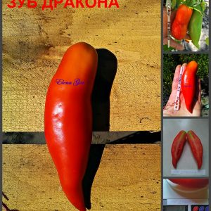 ЗУБ ДРАКОНА (DRAGON TOOTH) - урожайная красная консервная сливка, 10 семян