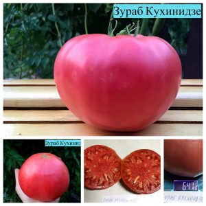 ЗУРАБ КУХИНИДЗЕ (ZURAB KUHIANIDZE) - розовый крупноплодный томат, 10 семян