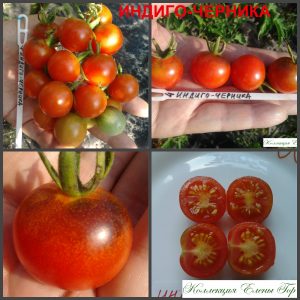 Семена купить