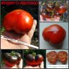 ИНДИГО-ЯБЛОКО (INDIGO APPLE) - ранний красно-синий томат, антоциан, 10 семян