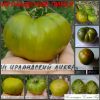 ИРЛАНДСКИЙ ЛИКЕР (IRISH LIQUOR) - ранний зеленый сладкий бифштекс, 10 семян