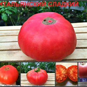 ИТАЛЬЯНСКИЙ СЛАДКИЙ (ITALIAN SWEET) - ранний крупный малиновый бифштекс, 10 семян
