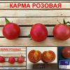 КАРМА РОЗОВАЯ (KARMA PINK) - ранний сладкий розовый черри, 10 семян