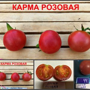 КАРМА РОЗОВАЯ (KARMA PINK) - ранний сладкий розовый черри, 10 семян