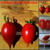 КАСКАД ЧЕРРИ КРАСНЫЕ (CASCADE CHERRY RED)- засолочная красная сливка, 10 семян