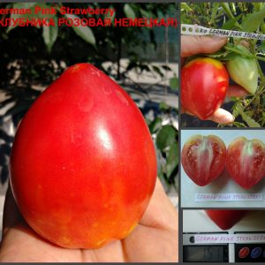 КЛУБНИКА РОЗОВАЯ НЕМЕЦКАЯ (GERMAN PINK STRAWBERRY) - малиновое утонченное сердце, 10 семян
