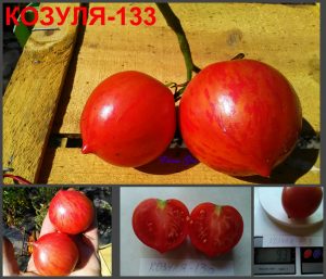 КОЗУЛА-133 (KOZULA-133) - малиновое сердечко с носиком, 10 семян