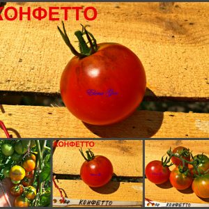 КОНФЕТТО (CONFETTO) - ранний урожайный красный коктейльный томат, 10 семян
