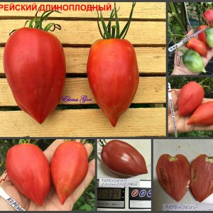 КОРЕЙСКИЙ ДЛИННОПЛОДНЫЙ (KOREAN DLINNOPLODNY) - красная сливка-сердце, 10 семян