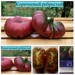 КОРИЧНЕВЫЙ РЕБРИСТЫЙ (BROWN RIBBED) - ранний пурпурный приплюснутый рифленый томат, 10 семян