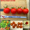 КРАСНАЯ ПУЛЯ (RED BULLET) - ранний красный черри, 10 семян