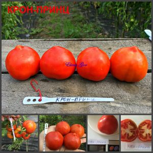 КРОН-ПРИНЦ (CROWN PRINCE) - ранний продуктивный красный консервный томат, 10 семян