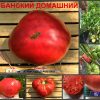 СЕМЕЙНЫЙ РОЗОВЫЙ 2924
