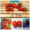 ЛАПОЧКА (LAPOCHKA) - ультра-ранний полевой урожайный красный томат