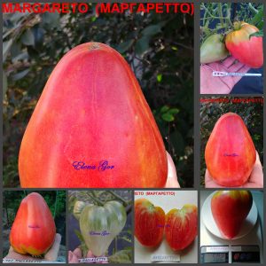 МАРГАРЕТТО (MARGARETТO) - раннее розовое сладкое сердце, 5 семян