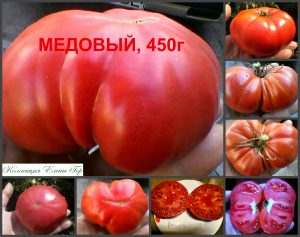 МЕДОВЫЙ (HONEY) - крупный розовый биф