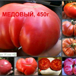 МЕДОВЫЙ (HONEY) - крупный розовый биф