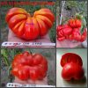 МОРСКАЯ ЗВЕЗДА КРАСНАЯ (SEA STAR) - сплющенный красный томат, 10 семян