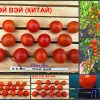 МЭЙ ВЭЙ (MEI WEI) - ультра-ранний сладкий красный черри, 10 семян
