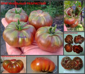 ОРИГИНАЛЬНЫЙ РЕБРИСТЫЙ (ORIGINAL RIBBED) - пурпурный плоский томат, 10 семян ОРИГИНАЛЬНЫЙ РЕБРИСТЫЙ (ORIGINAL RIBBED) - пурпурный плоский томат, 10 семян