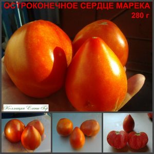 ОСТРОКОНЕЧНОЕ СЕРДЦЕ МАРЕКА (MAREK'S POINTY HEART) - красное плотное сердце, 5 семян
