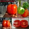 ПОЛОСАТАЯ ПЕЩЕРА (STRIPED CAVE) - красный пестрый томат для фаршировки, 10 семян
