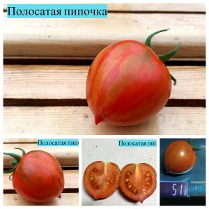 ПОЛОСАТАЯ ПИПОЧКА (STRIPE'S PIPOCHKA) - красный пестрый томат с носиком, 10 семян