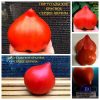 ПОРТУГАЛЬСКОЕ КРАСНОЕ СЕРДЦЕ ШЕРИЛА (Sheryl’s Portuesse Red Heart) - раннее красное сердце, 5 семян