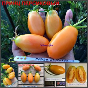 Томат ПРИНЦ ПЕРСИКОВЫЙ