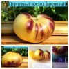 ПУРПУРНЫЙ ВОСХОД (PURPLE SUNRISE CREAM) - кремово-синий бифштекс